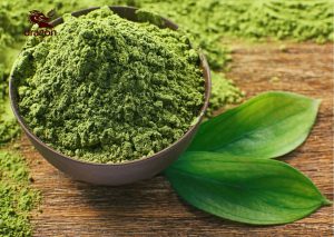 Dịch vụ gửi bột matcha đi Úc uy tín, giá rẻ