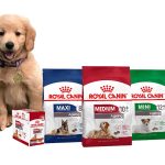 Vận chuyển thức ăn khô cho thú cưng từ Hải Phòng sang Úc