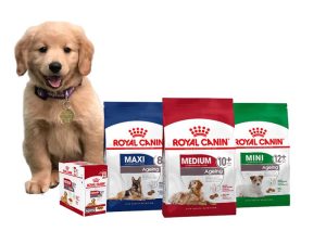 Vận chuyển thức ăn khô cho thú cưng từ Hải Phòng sang Úc