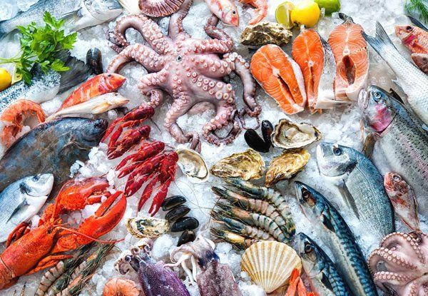 Vận chuyển đồ đông lạnh từ Hải Phòng đi Melbourne