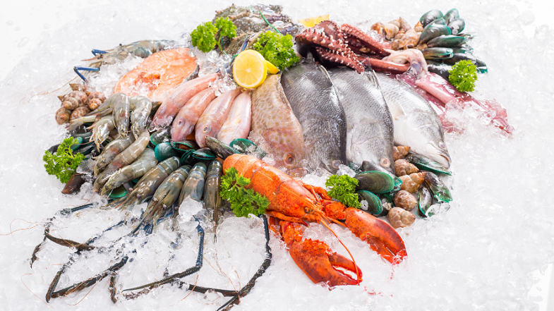 Vận chuyển đồ đông lạnh từ Hải Phòng đi Melbourne