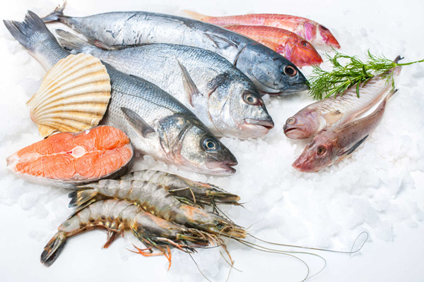 Vận chuyển đồ đông lạnh từ Hải Phòng đi Melbourne